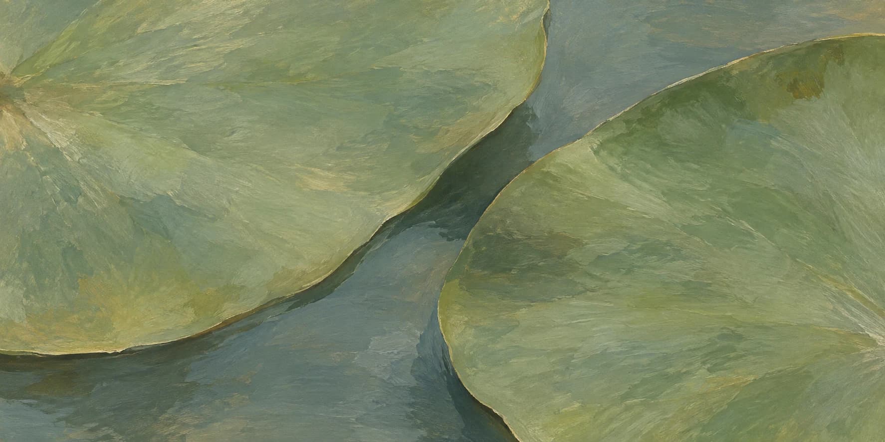 Two lily pads on still water